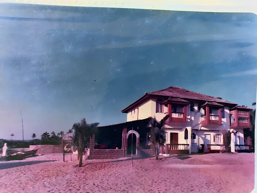Across the sand. The palms in front are the ones still growing in the garden.