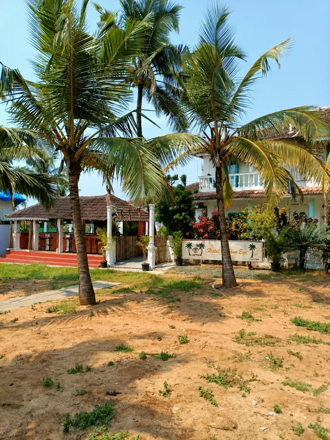 Hotel Golden Eye seen through coconut palms from Holiday Street.