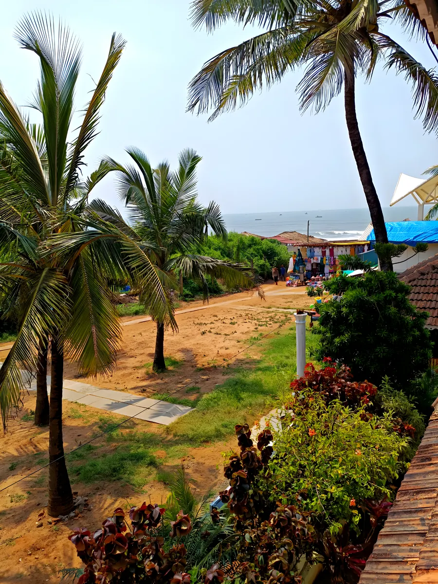 The garden: coconut palms, red earth, flowering shrubs, the sea at the far end.